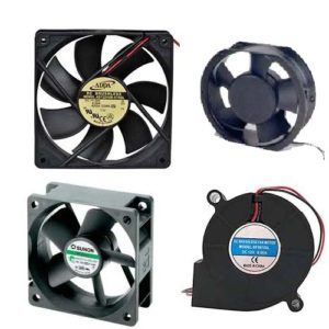 fan